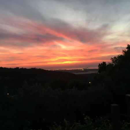 Above The Sea Bed and Breakfast Ein Hod Exterior foto