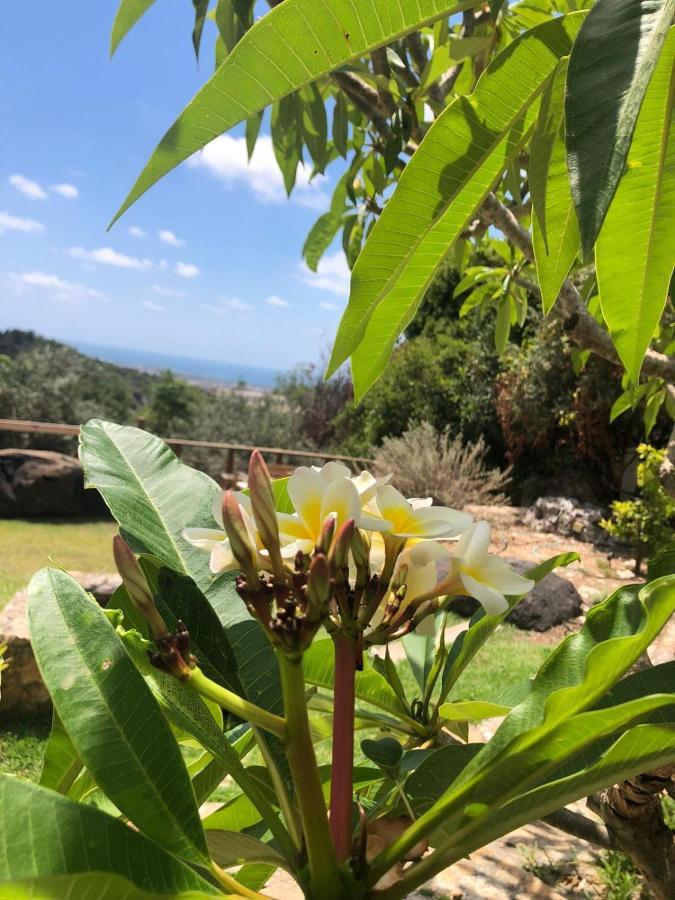 Villa Above The Sea Ein Hod Exterior foto