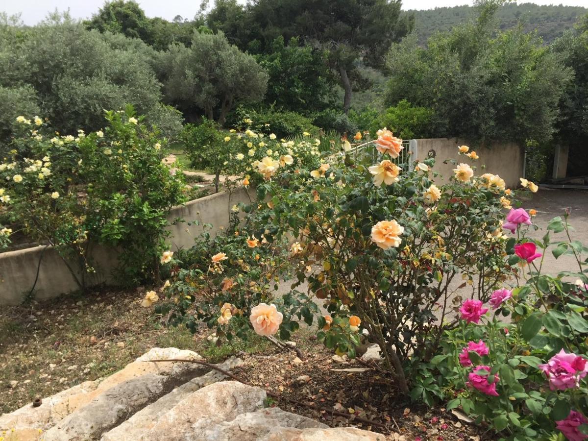 Above The Sea Bed and Breakfast Ein Hod Exterior foto