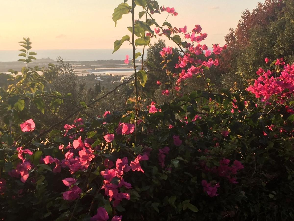 Above The Sea Bed and Breakfast Ein Hod Exterior foto