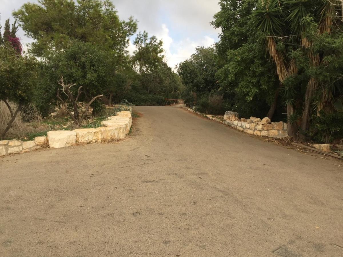Villa Above The Sea Ein Hod Exterior foto