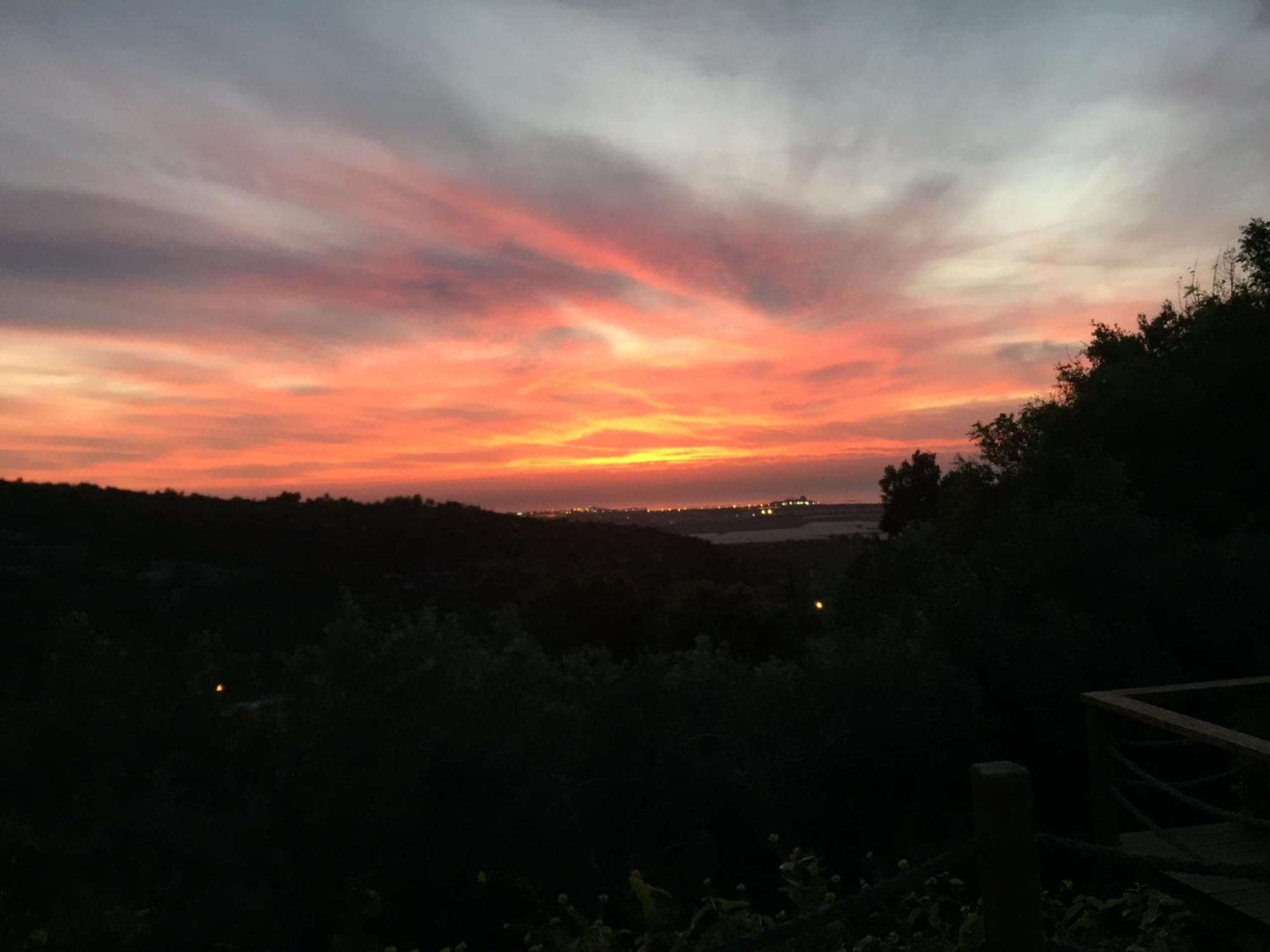 Above The Sea Bed and Breakfast Ein Hod Exterior foto