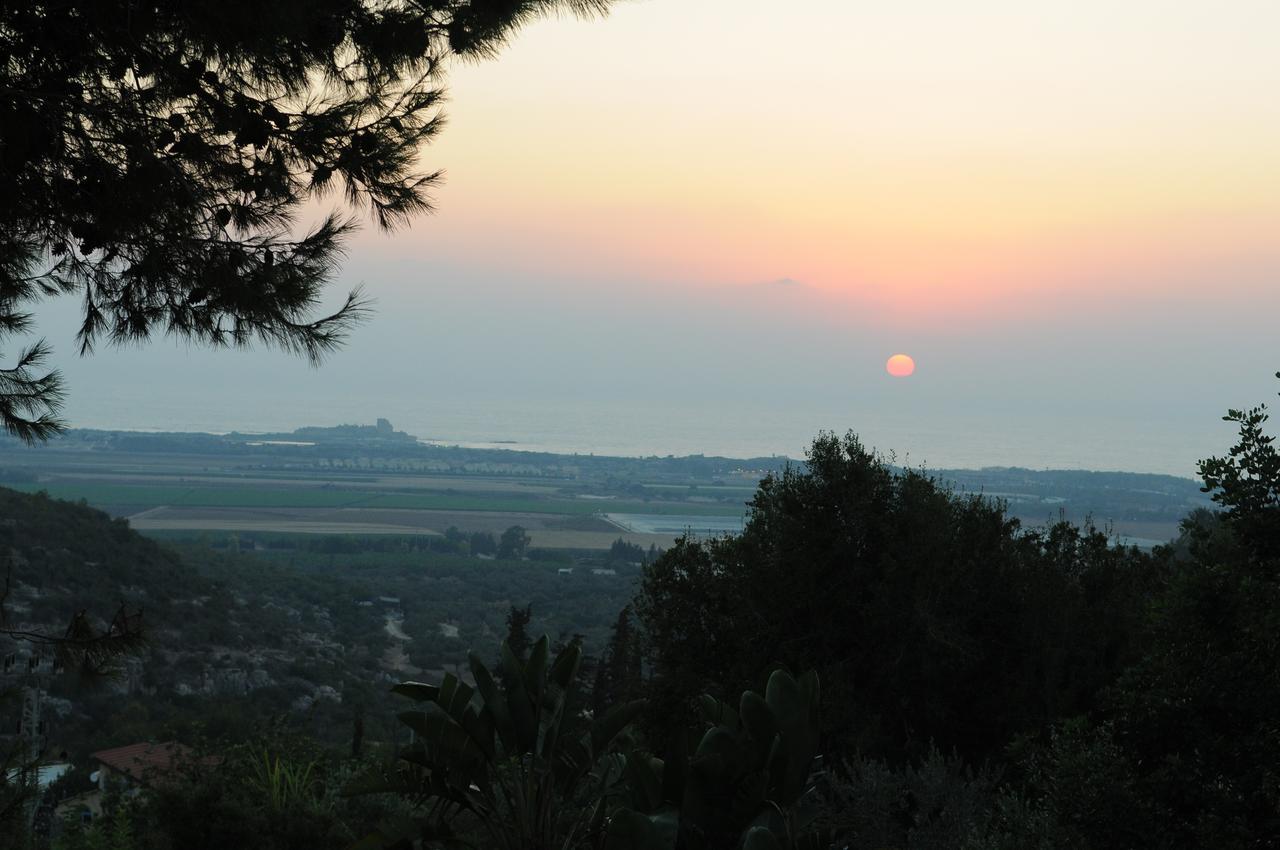 Above The Sea Bed and Breakfast Ein Hod Exterior foto