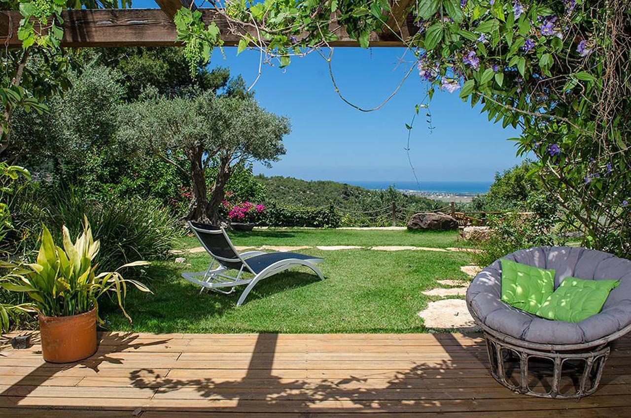 Above The Sea Bed and Breakfast Ein Hod Exterior foto