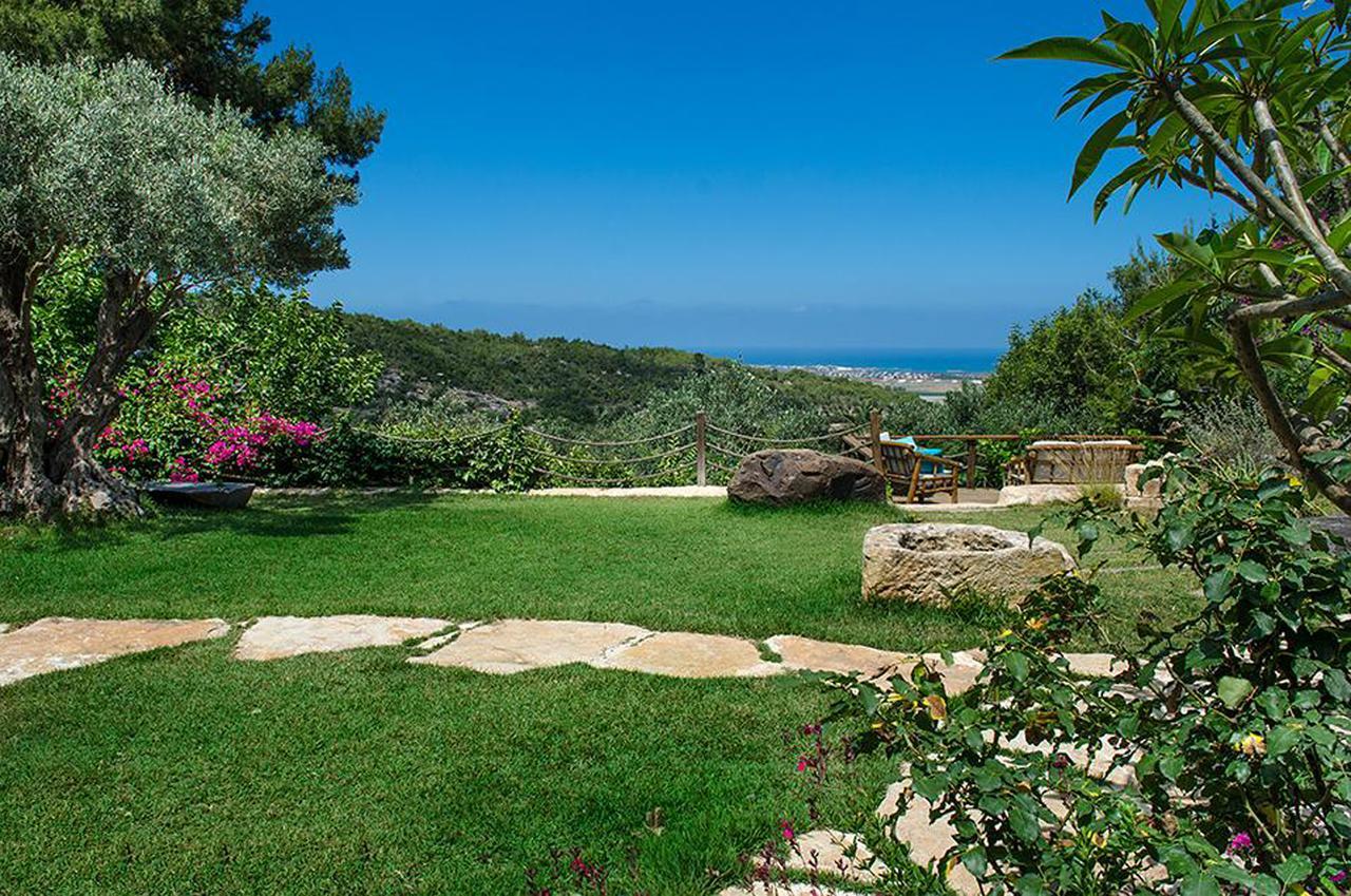 Above The Sea Bed and Breakfast Ein Hod Exterior foto