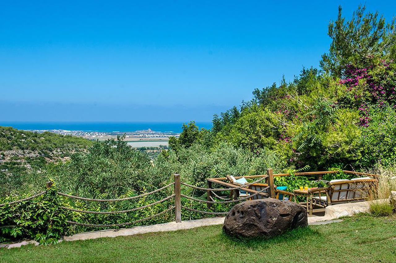 Above The Sea Bed and Breakfast Ein Hod Exterior foto