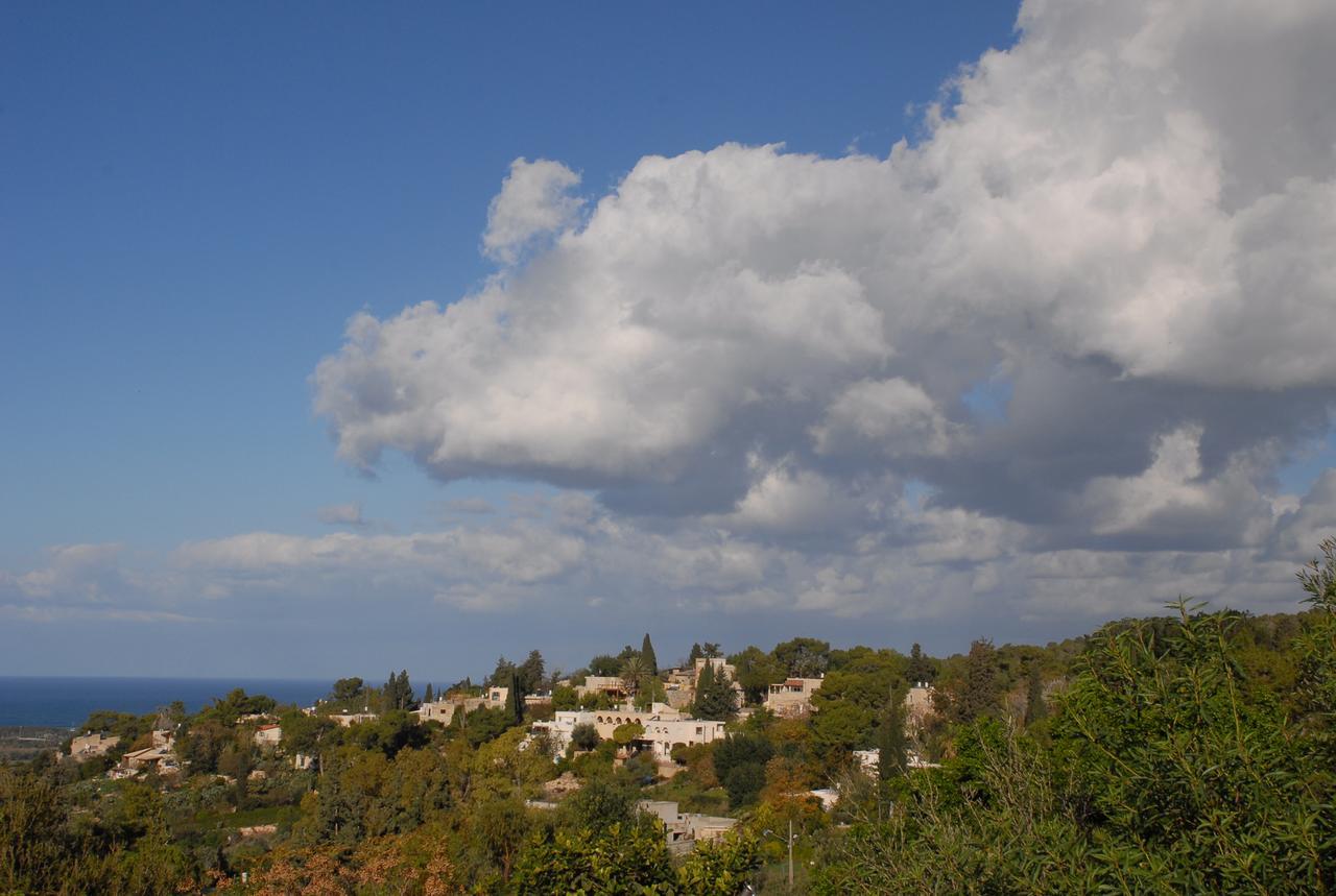 Above The Sea Bed and Breakfast Ein Hod Exterior foto