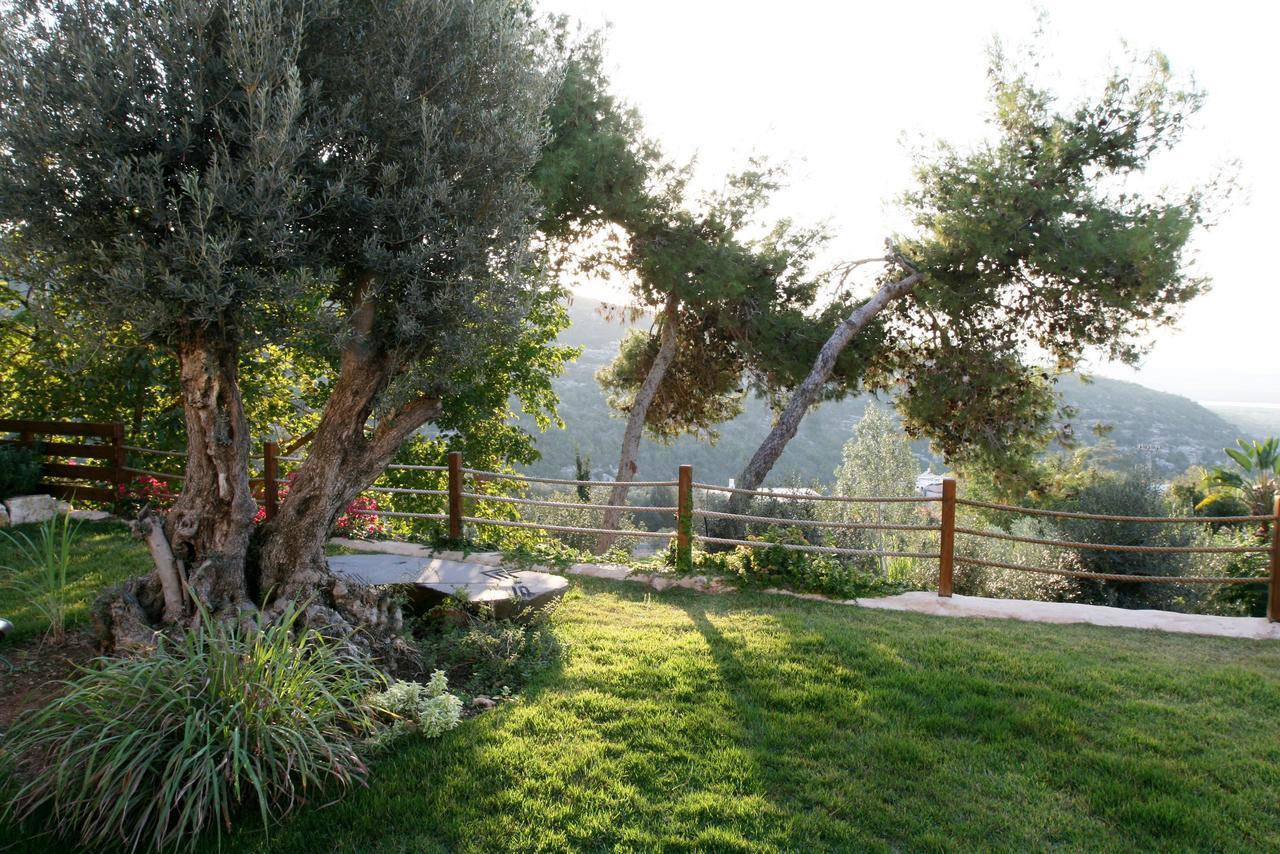 Above The Sea Bed and Breakfast Ein Hod Exterior foto