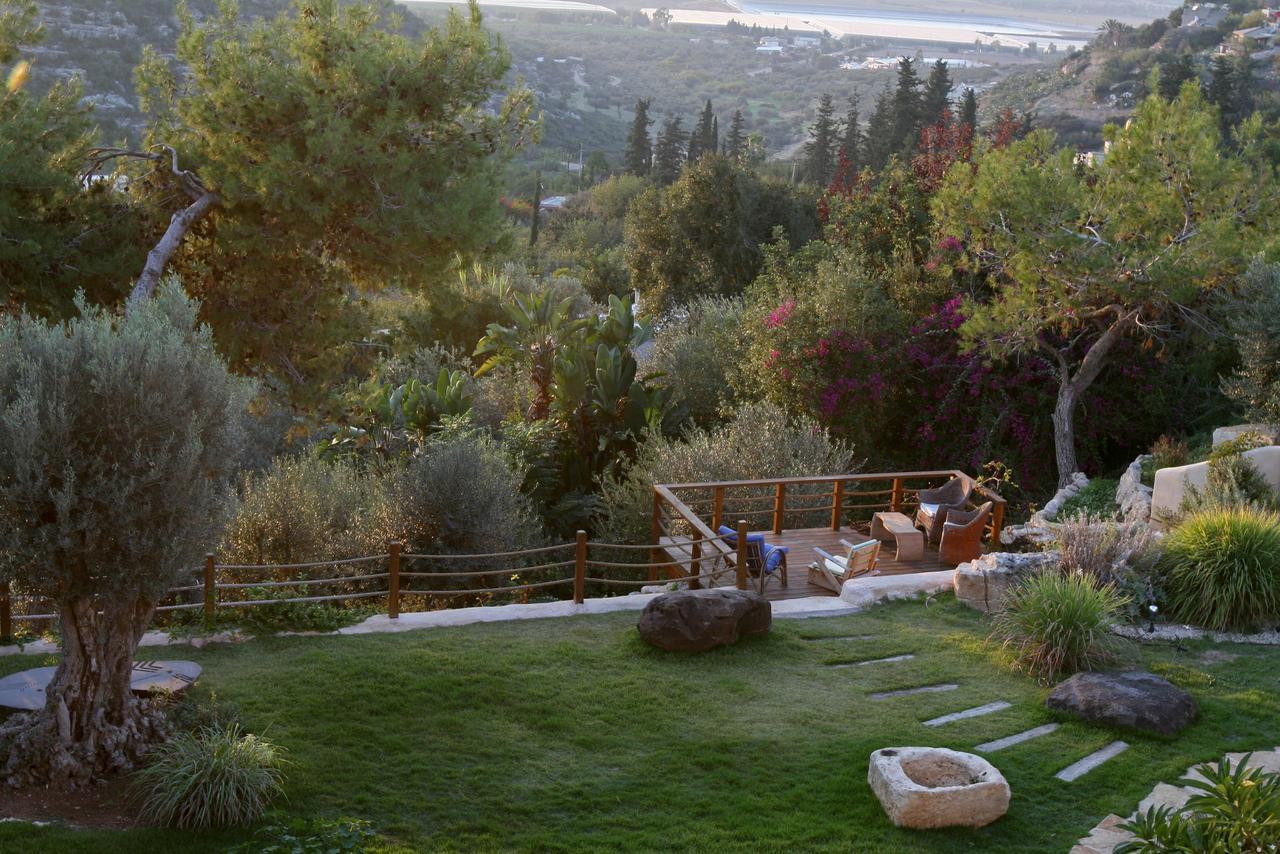 Above The Sea Bed and Breakfast Ein Hod Exterior foto