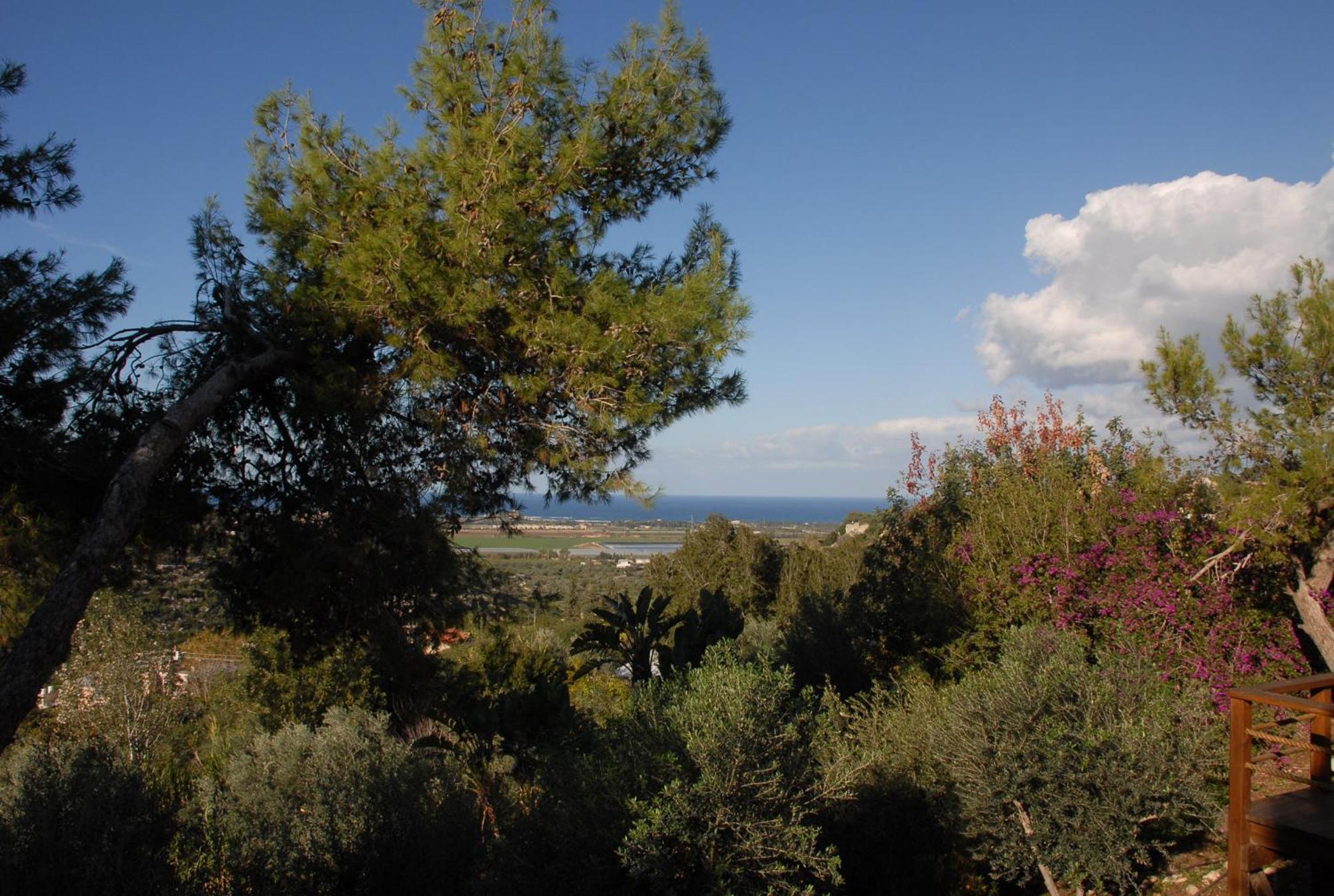 Above The Sea Bed and Breakfast Ein Hod Exterior foto