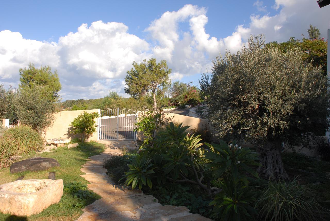 Above The Sea Bed and Breakfast Ein Hod Exterior foto