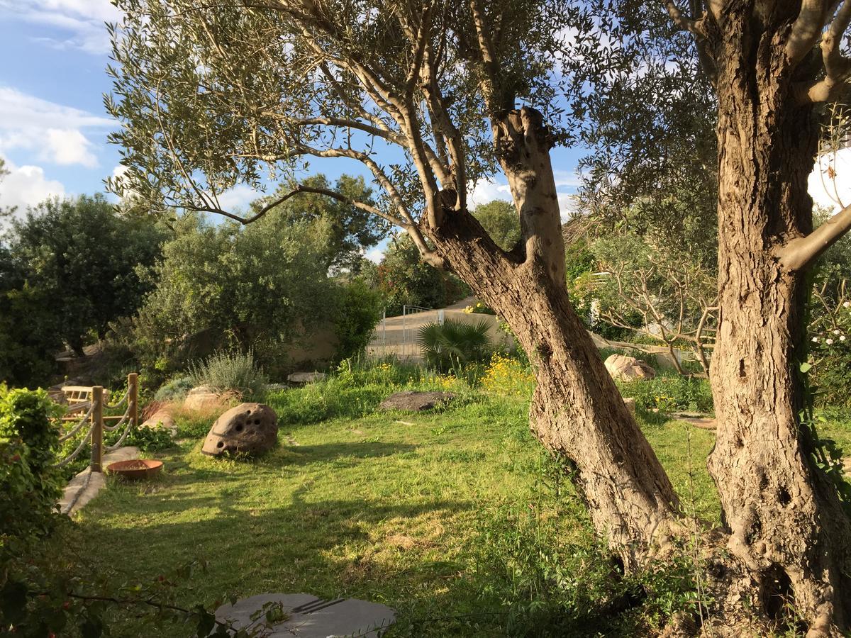 Above The Sea Bed and Breakfast Ein Hod Exterior foto