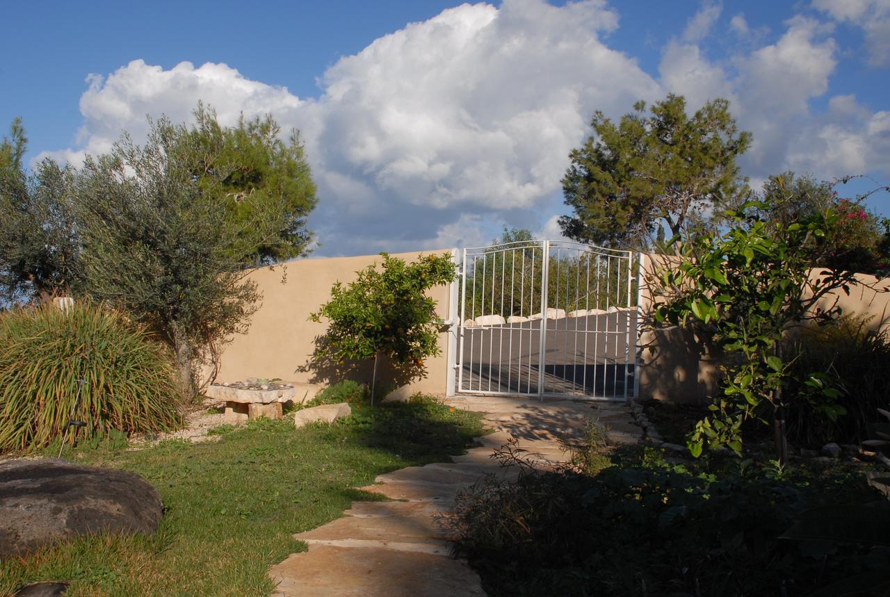 Above The Sea Bed and Breakfast Ein Hod Exterior foto