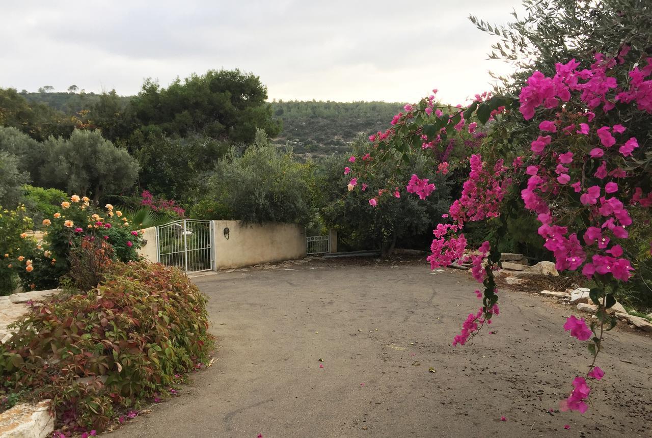 Above The Sea Bed and Breakfast Ein Hod Exterior foto