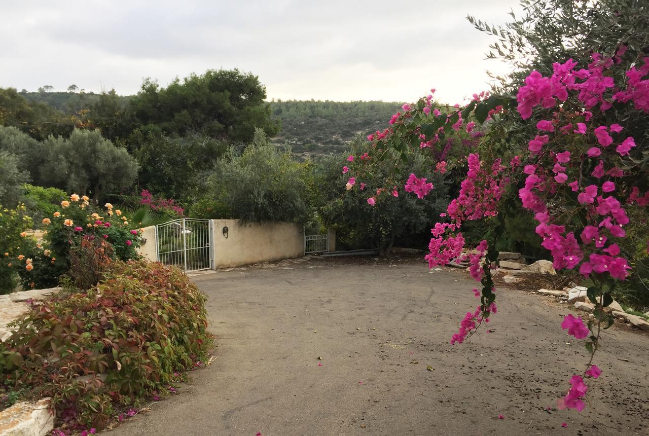 Villa Above The Sea Ein Hod Exterior foto